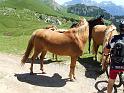 DOLOMITI2009 (113)